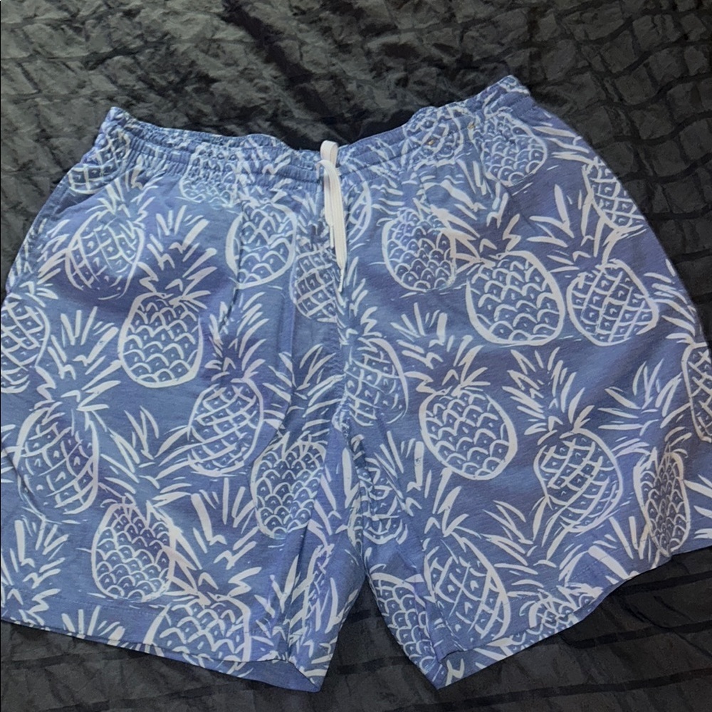 Mens chubbie swim trunks